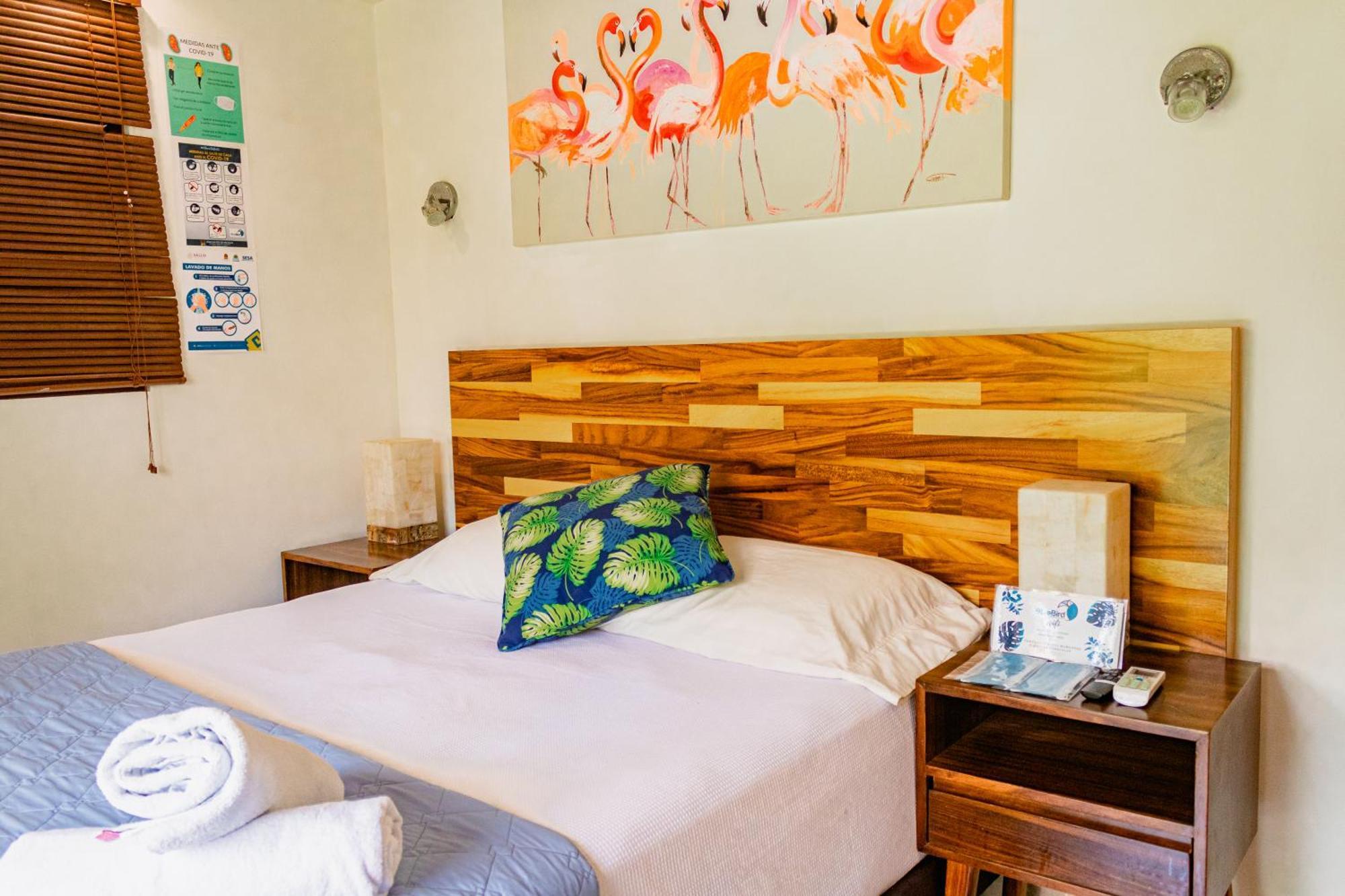 Hotel Blue Bird Bacalar Habitación foto